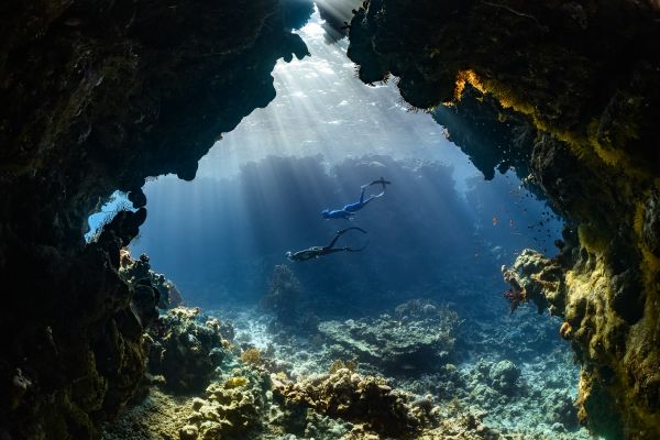 5 Raisons de privilégier la plongée d'exploration cet été