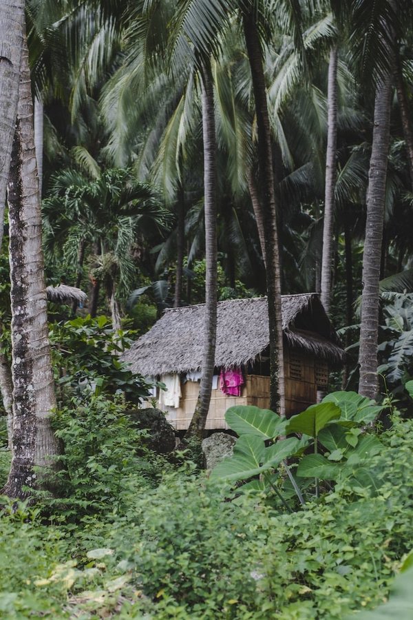Est-il possible de louer une cabane dans les arbres en Amazonie ?