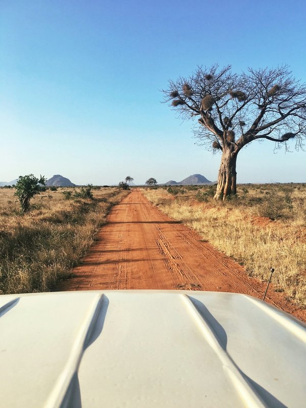 Quels sont les avantages de faire un safari en Afrique ?